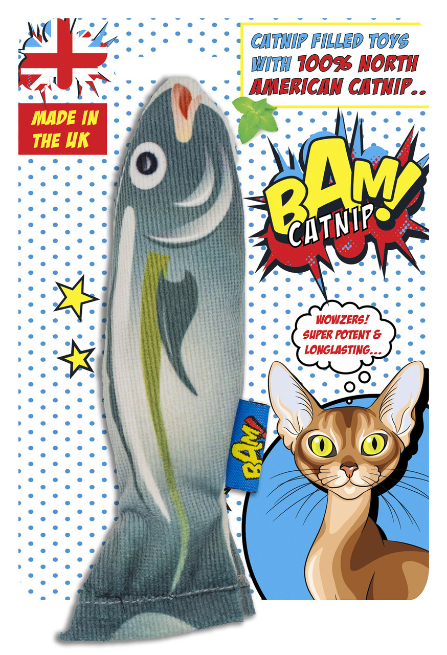 BAM Catnip Fish Cat Toy
