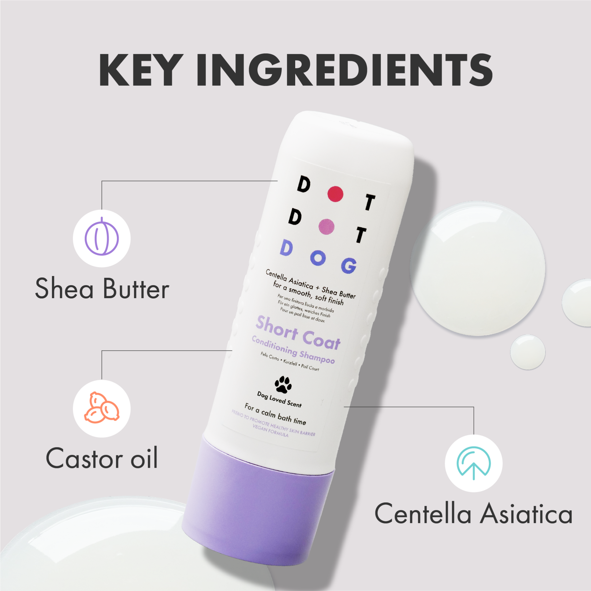 DotDotPet Short Coat Shampoo for Dogs